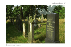 GeldDerGrafenPublikation4